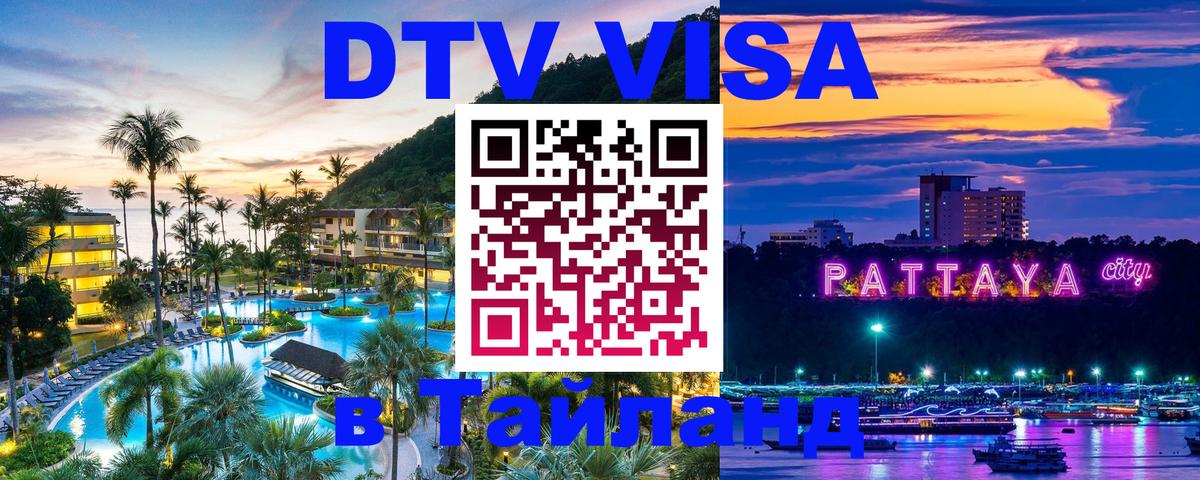 Оформление DTV визы под ключ: стоимость и тарифы, только загранпаспорт - Волгодонск  04.12.2025 